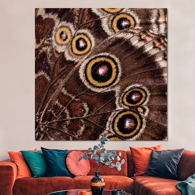 Forex - Vlinder - Vleugel - Abstract — 3