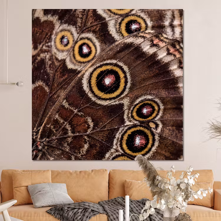 Forex - Vlinder - Vleugel - Abstract — 4