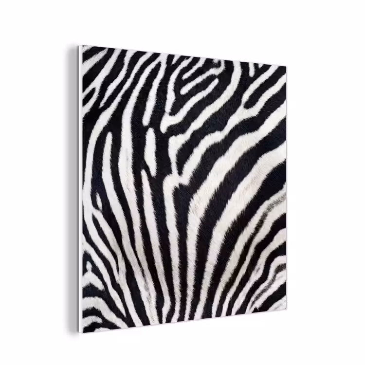 Forex - Zebra - Vacht - Klassiek - Zwart - Wit — 1