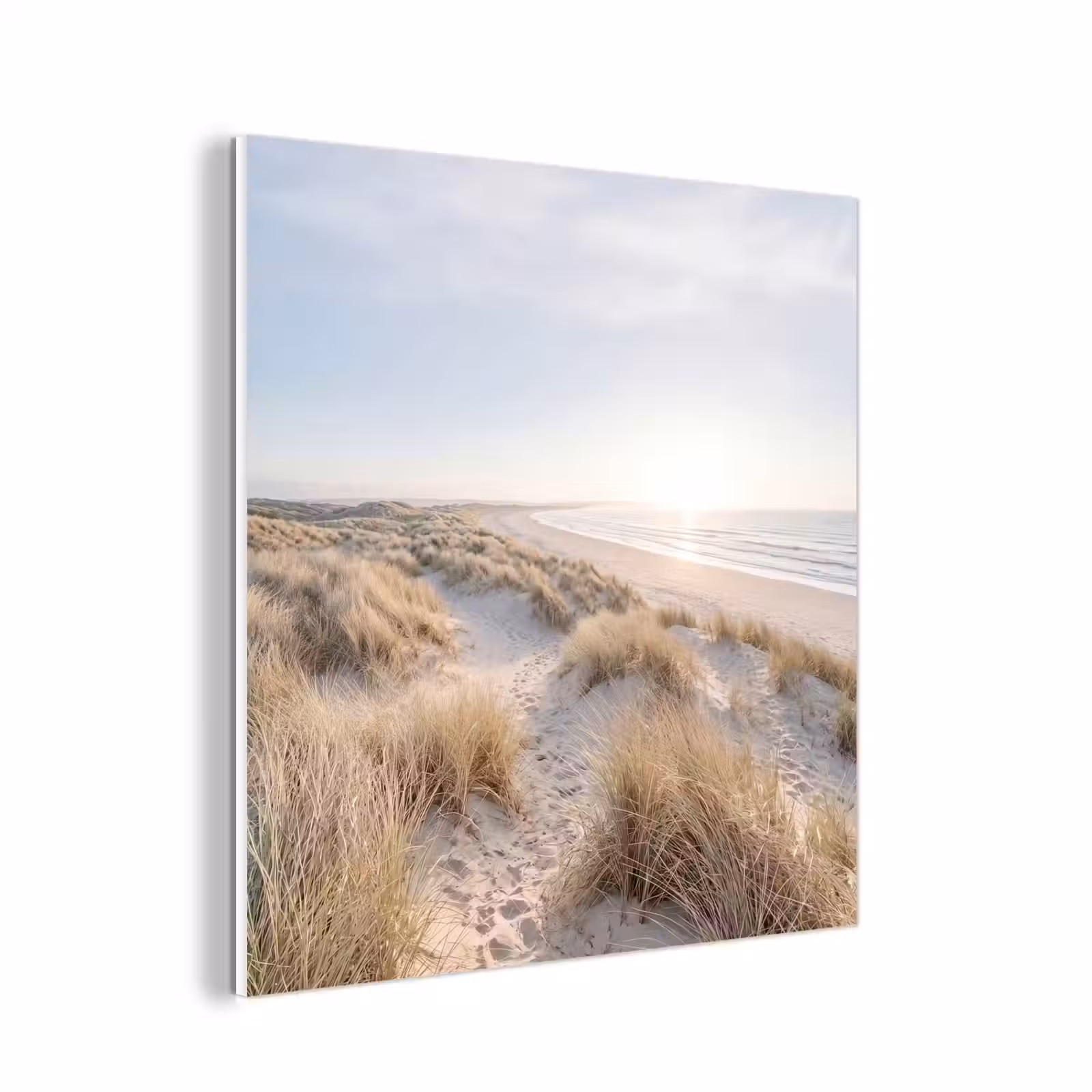 Forex - Duinen - Strand - Beige — 1