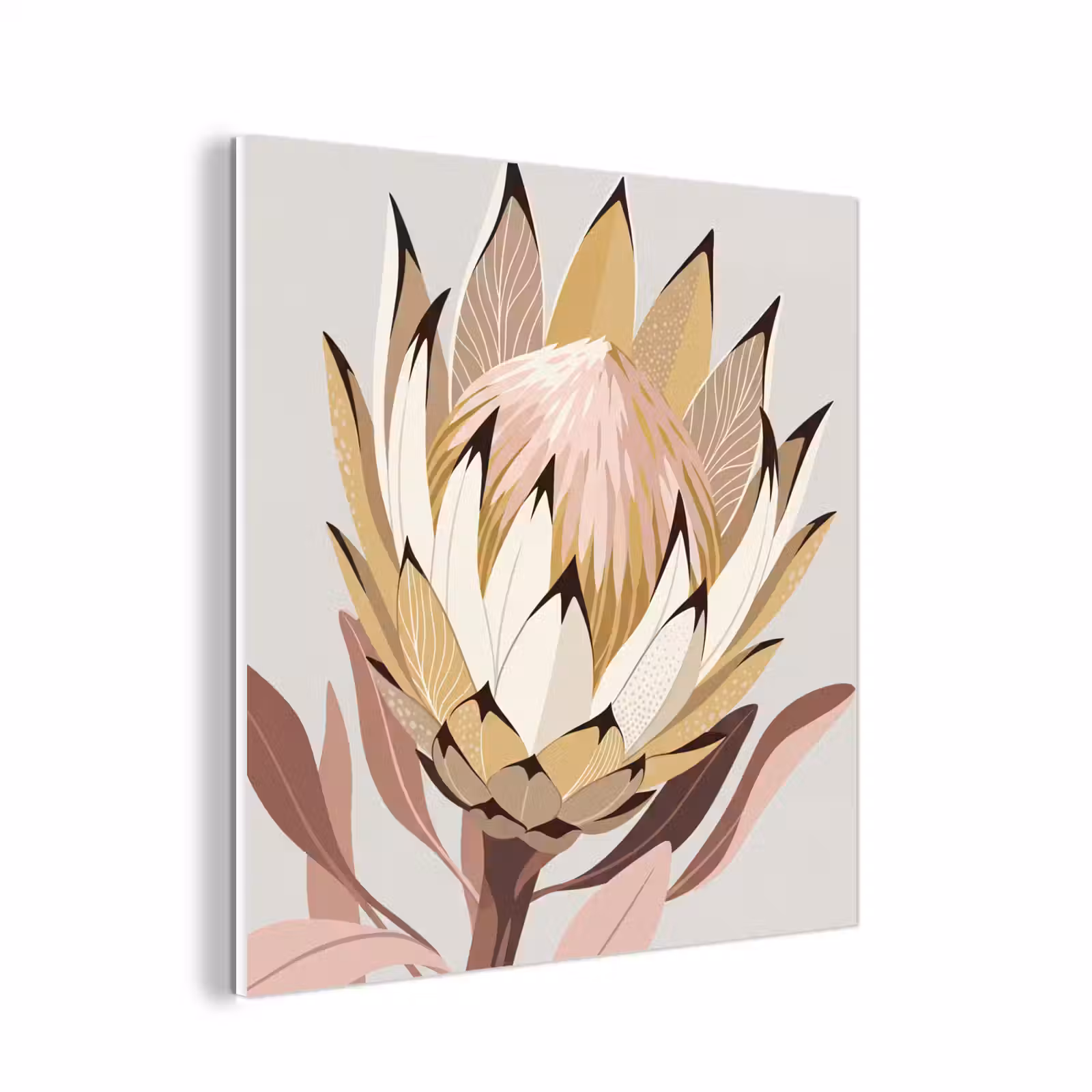 Forex - Protea - Bloem - Botanisch - Beige — 1