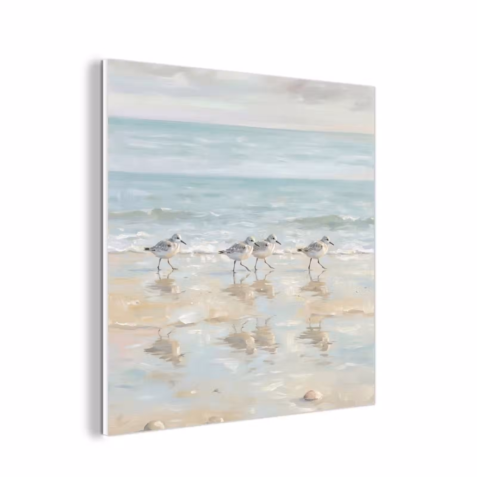 Forex - Vogels - Strand - Zee — 1