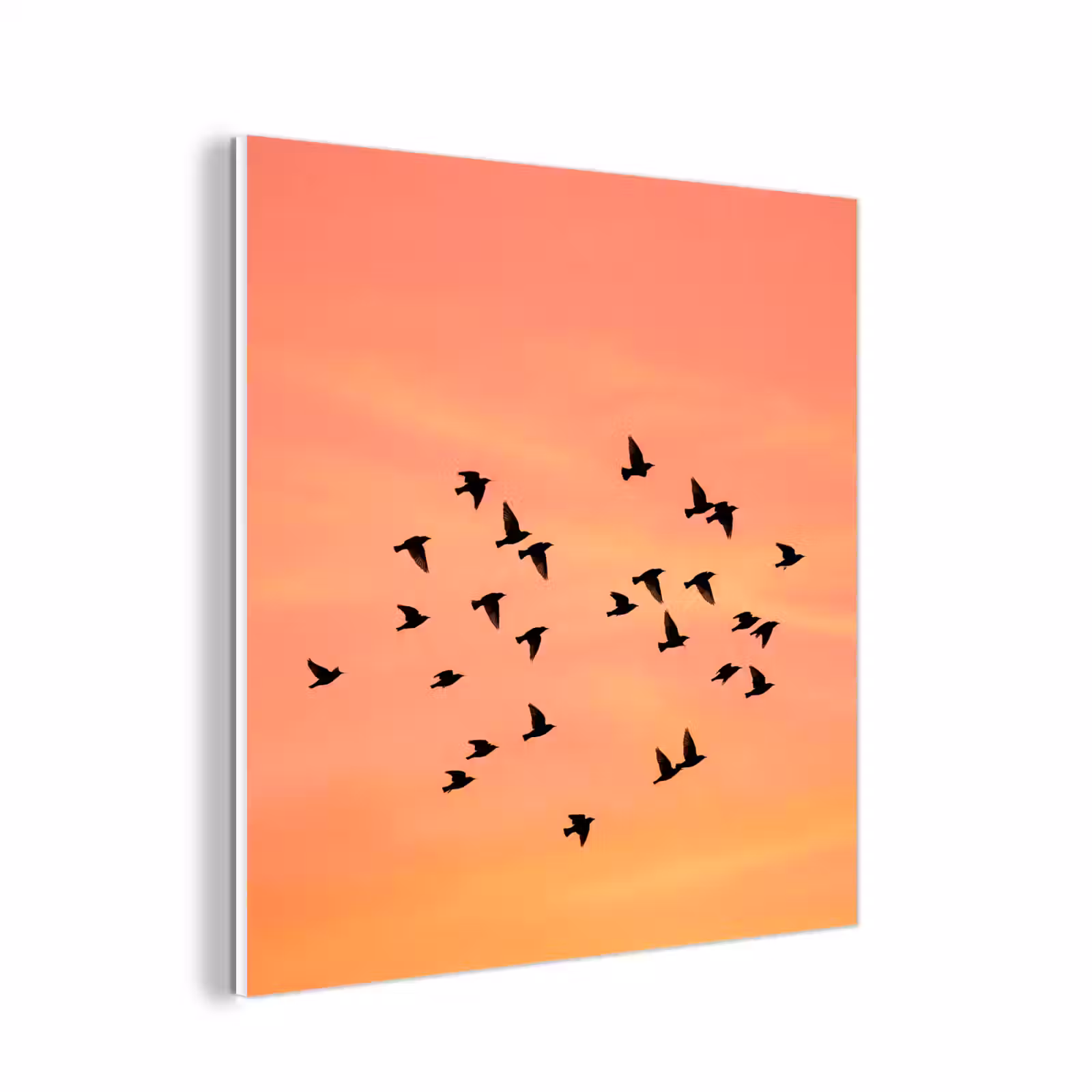 Forex - Zwerm - Vogels - Oranje — 1