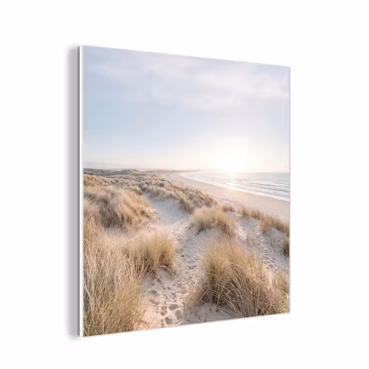 Forex - Duinen - Strand - Beige — 1