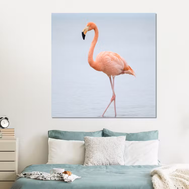 Forex - Flamingo - Zee - Roze — 2