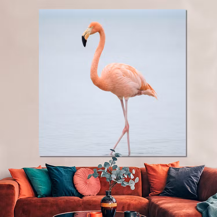 Forex - Flamingo - Zee - Roze — 3