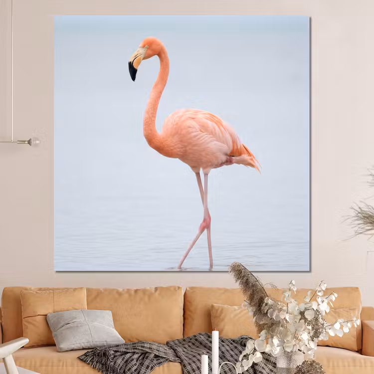 Forex - Flamingo - Zee - Roze — 4