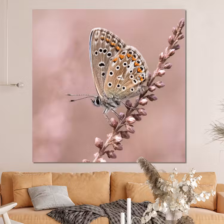 Forex - Lavendel - Vlinder - Paars — 4