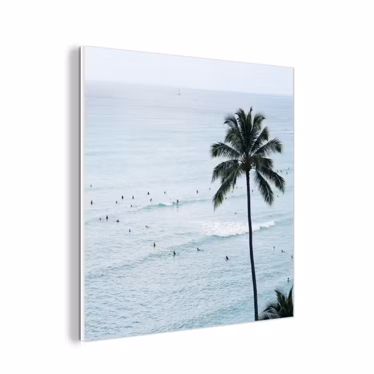 Forex - Oceaan - Palmbomen - Surfers — 1