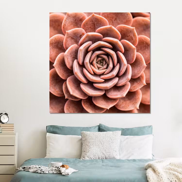 Forex - Vetplant - Organisch - Roze — 2