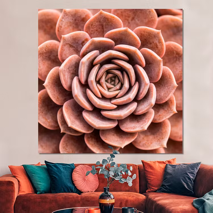 Forex - Vetplant - Organisch - Roze — 3