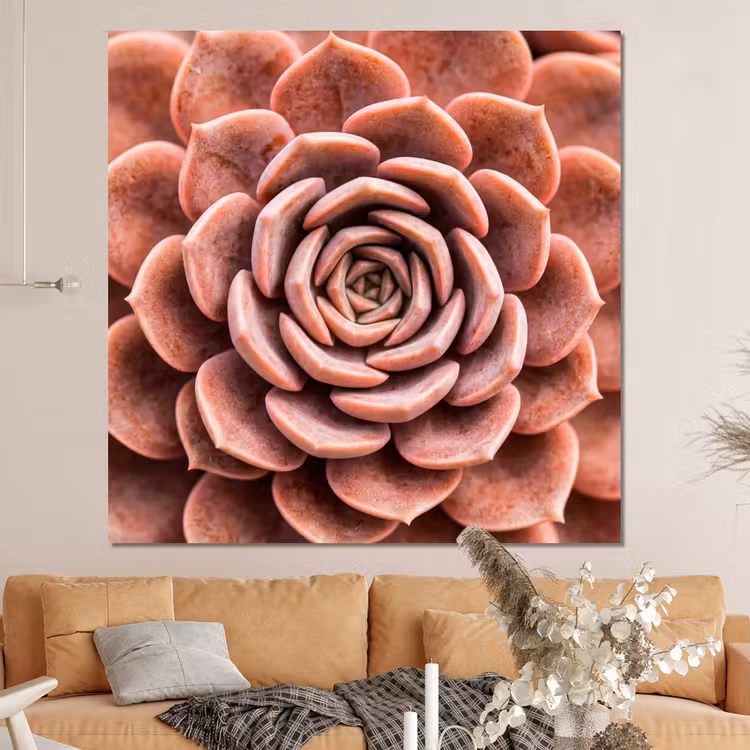Forex - Vetplant - Organisch - Roze — 4