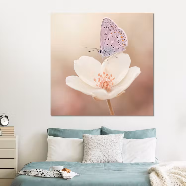 Forex - Vlinder - Bloem - Blauw — 2