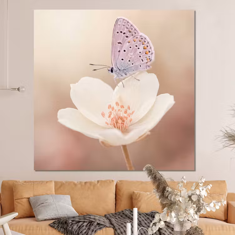 Forex - Vlinder - Bloem - Blauw — 4
