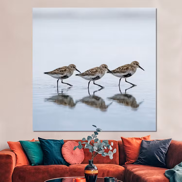Forex - Vogels - Water - Grijs — 3