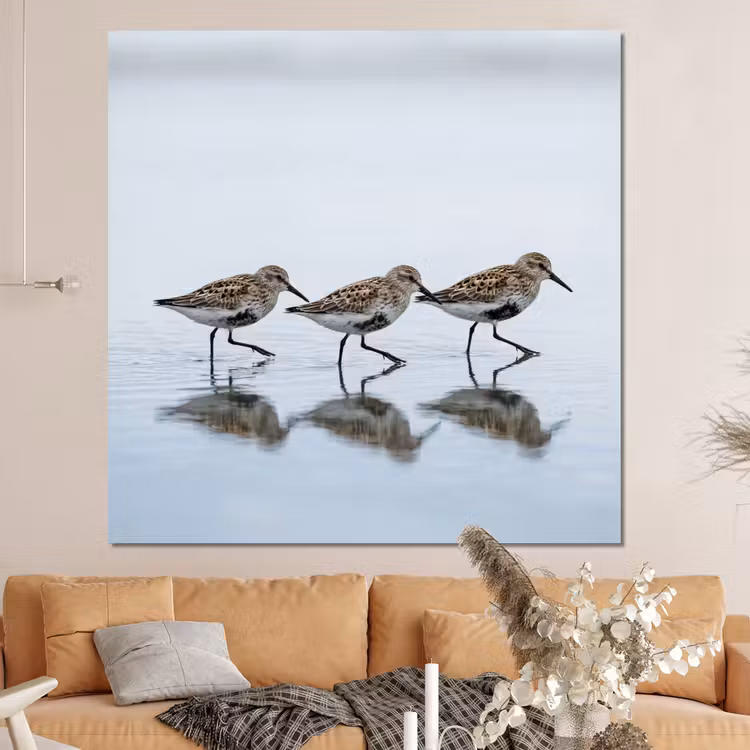 Forex - Vogels - Water - Grijs — 4