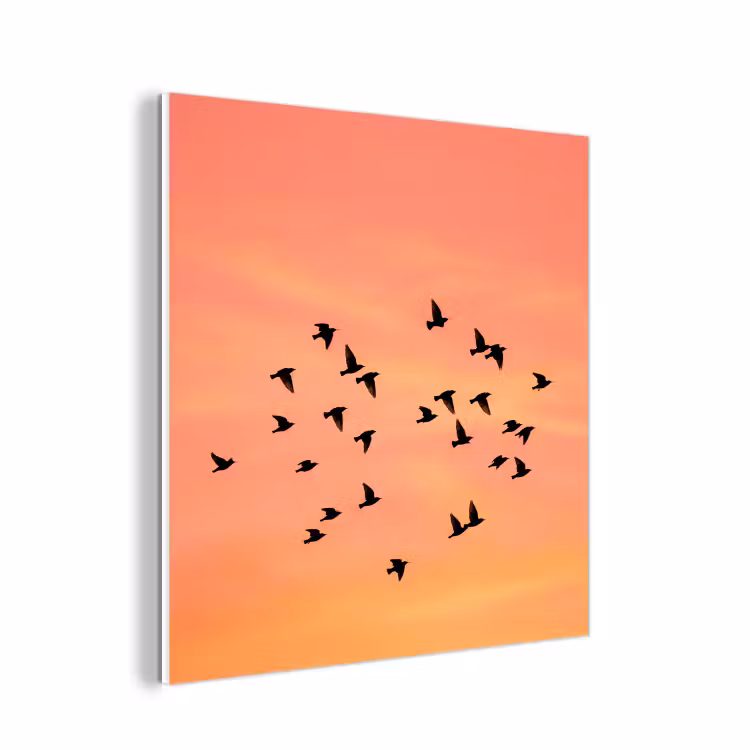 Forex - Zwerm - Vogels - Oranje — 1