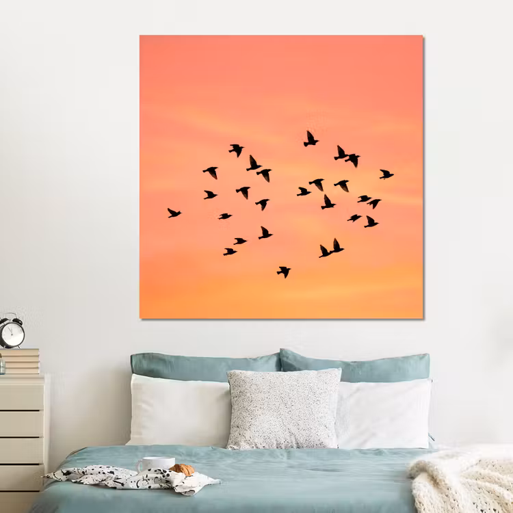 Forex - Zwerm - Vogels - Oranje — 2