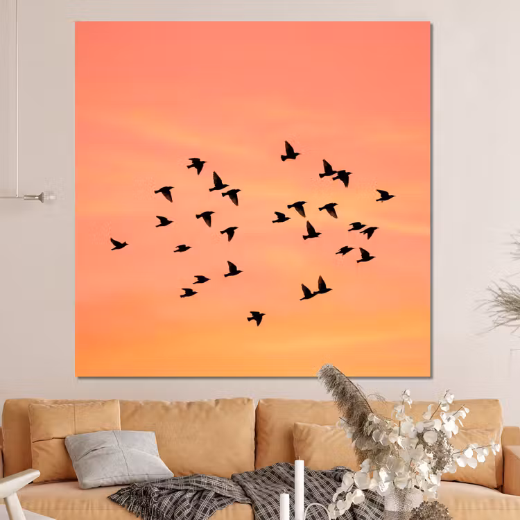 Forex - Zwerm - Vogels - Oranje — 4