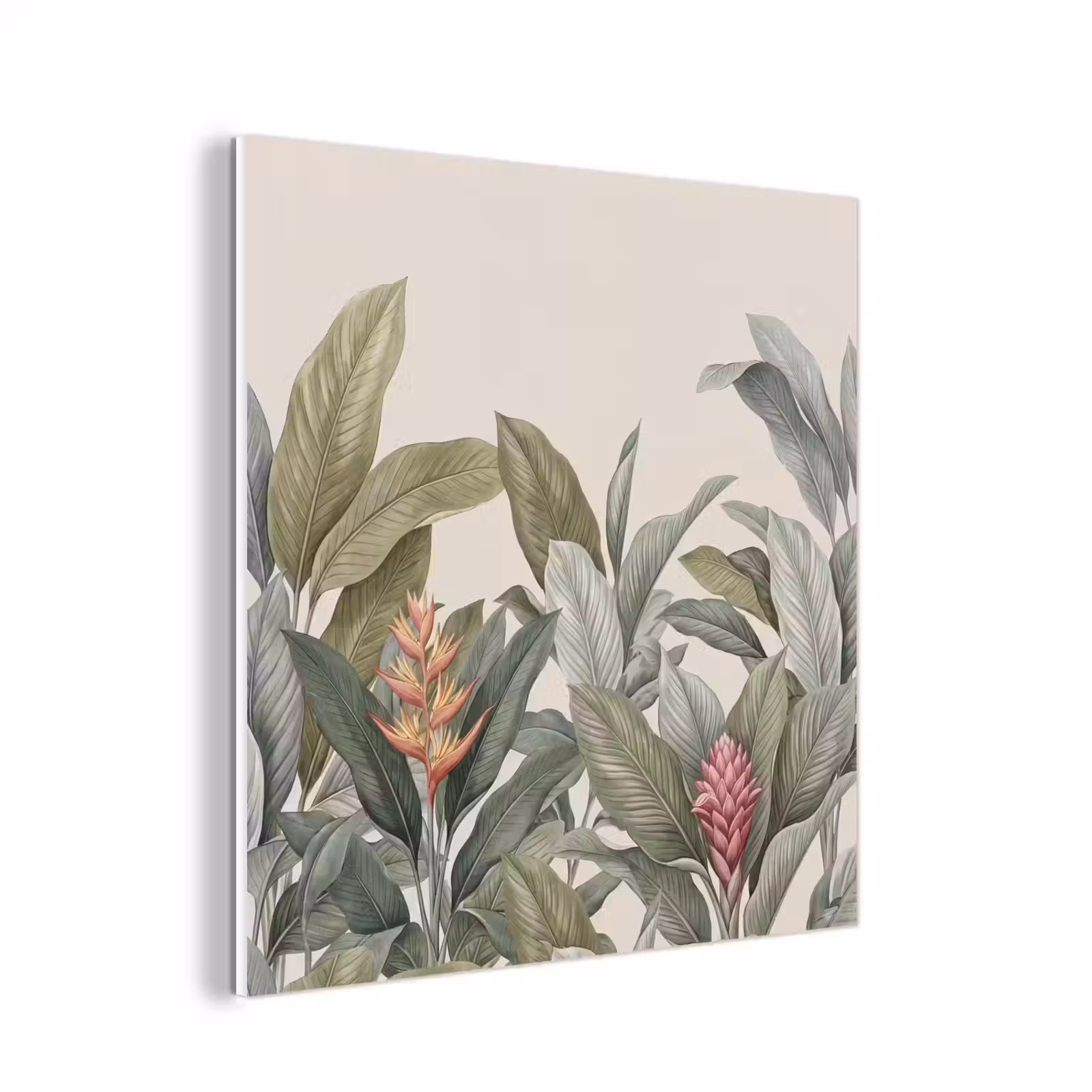 Forex - Tropisch - Planten - Modern - Groen — 1