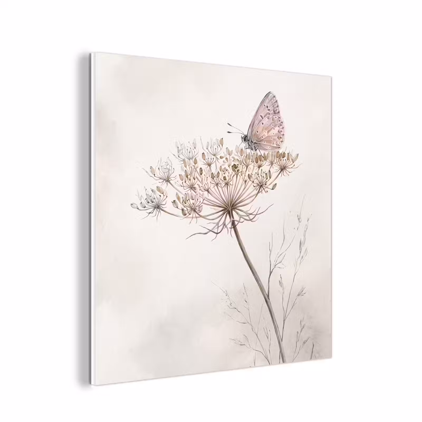 Forex - Vlinder - Bloem -Natuur - Beige — 1