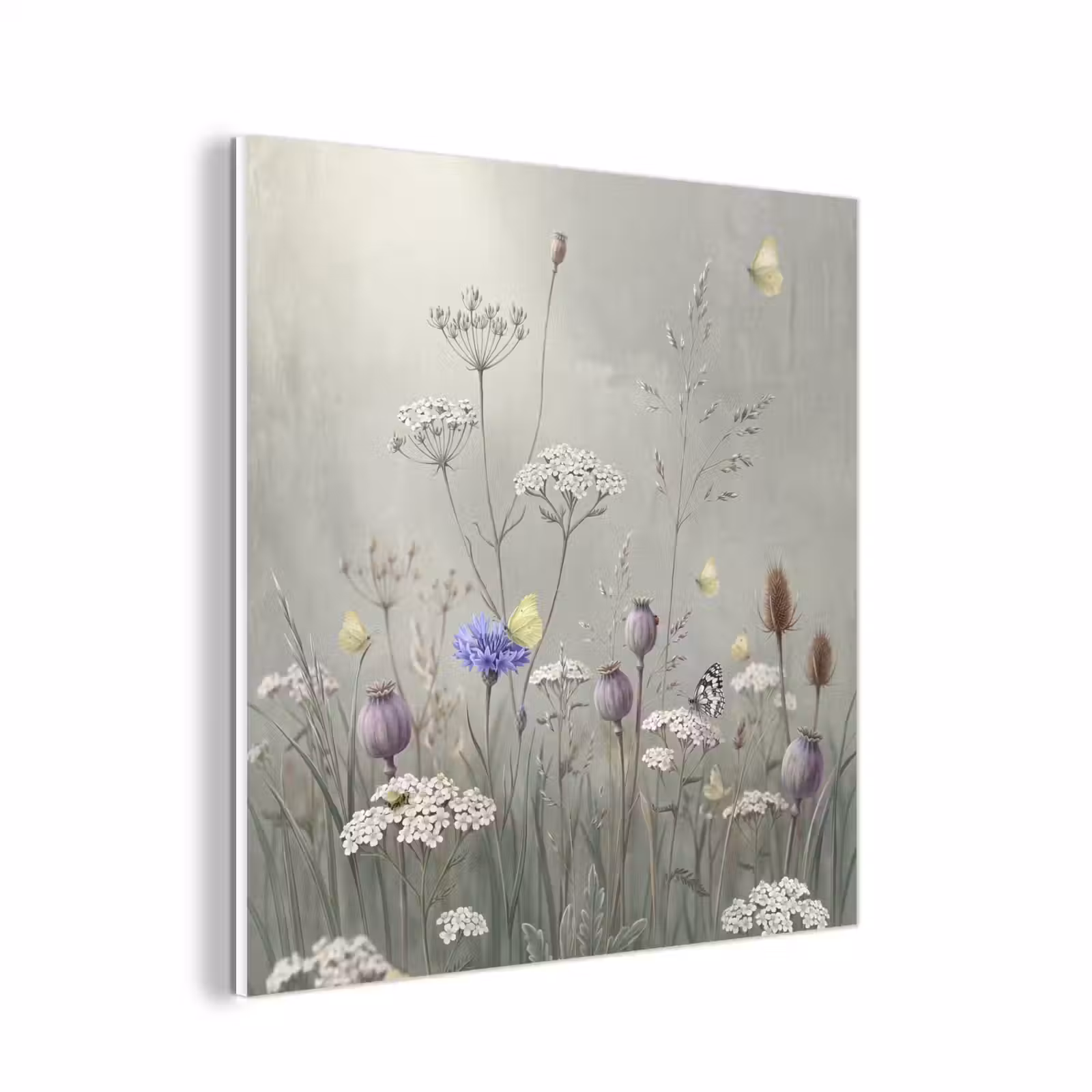 Forex - Vlinders - Wildbloemen - Illustratie - Kleurrijk — 1