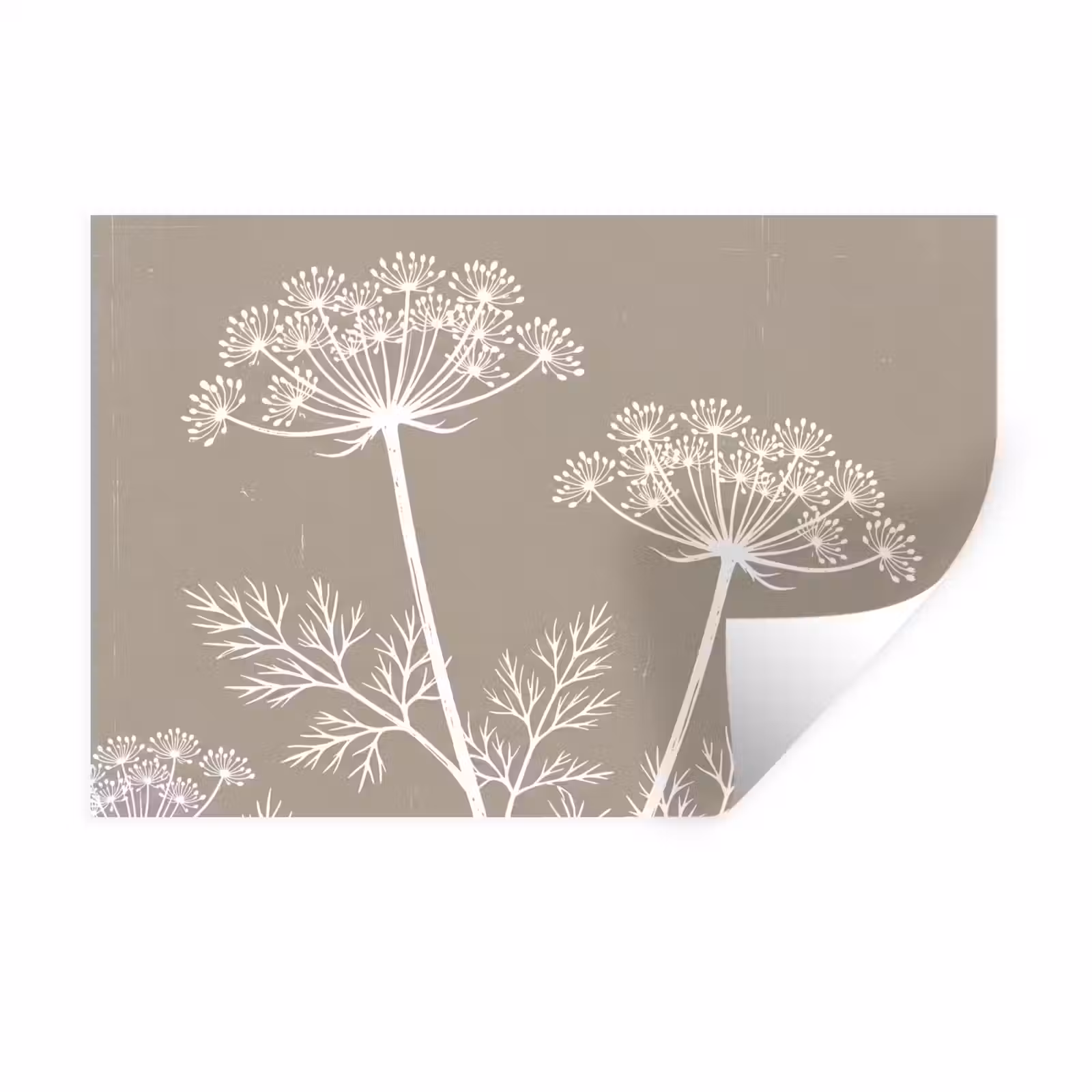Muursticker - Grafisch - Fluitenkruid - Taupe — 1