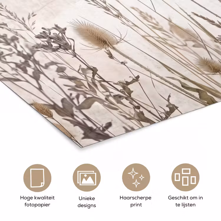 Poster - Weidebloemen - Design - Sepia — 5