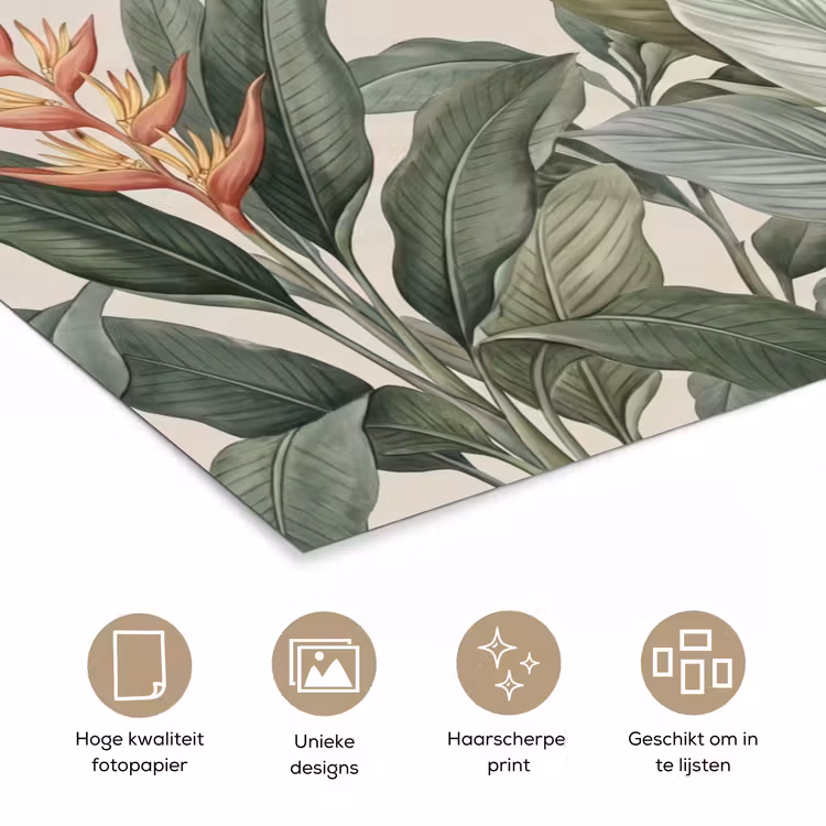 Poster - Tropisch - Planten - Modern - Groen — 5