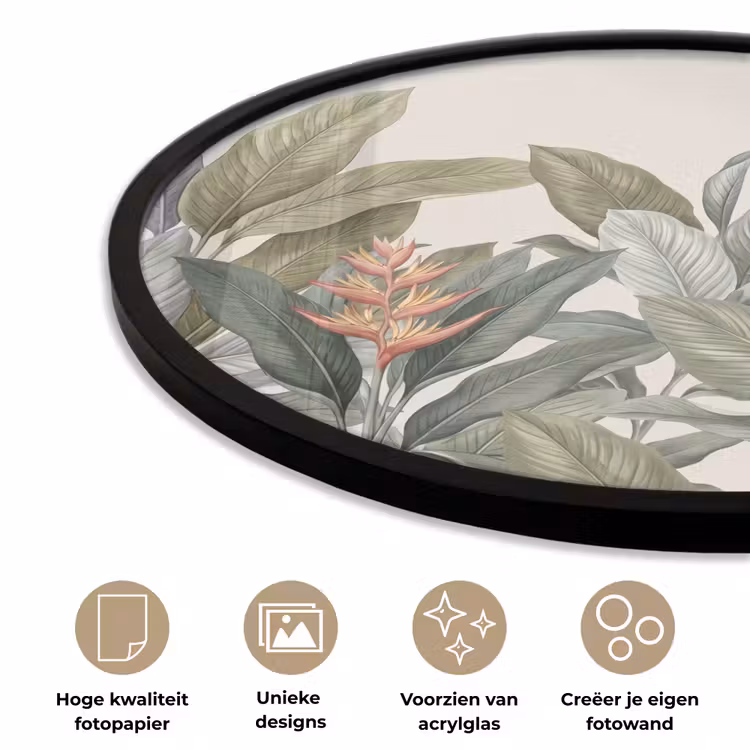 Ronde fotolijst - Tropisch - Planten - Modern - Groen — 2