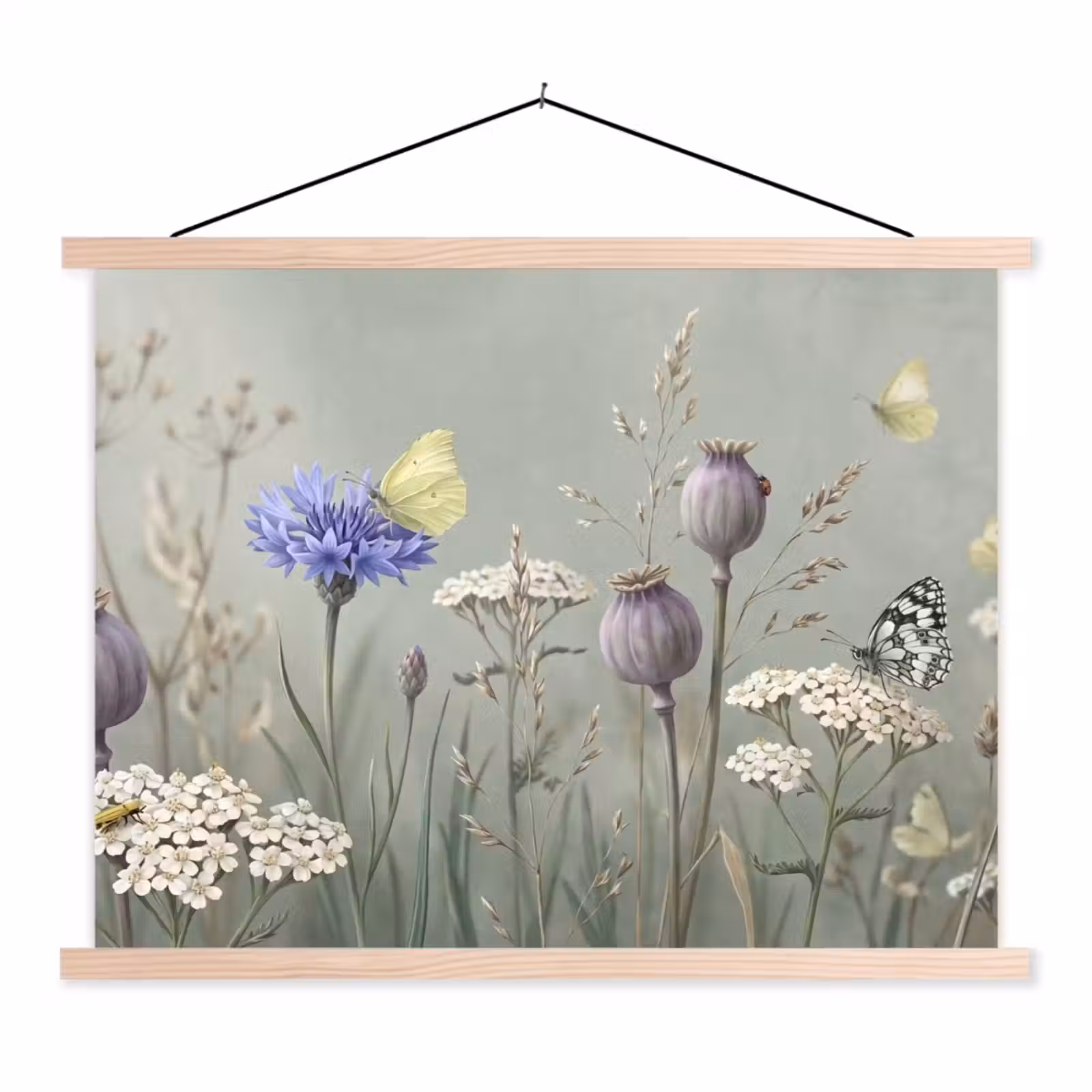 Schoolplaat - Vlinders - Wildbloemen - Illustratie - Kleurrijk — 1