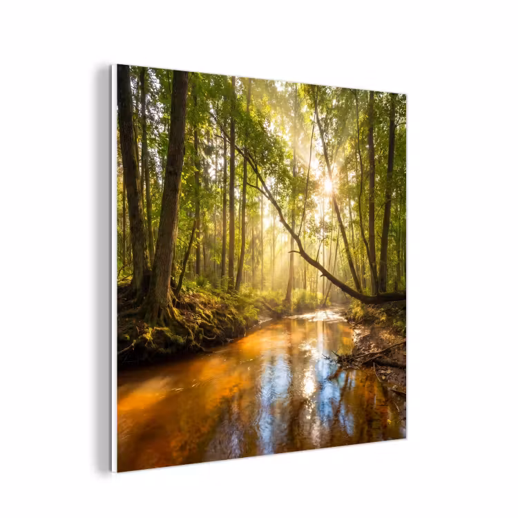 Forex - Bos - Beek - Zonlicht - Natuur - Groen — 1