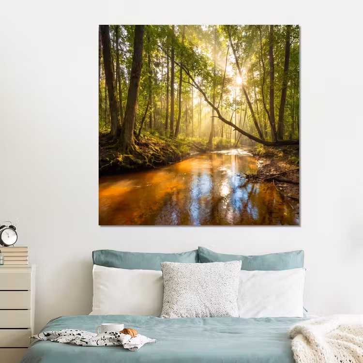 Forex - Bos - Beek - Zonlicht - Natuur - Groen — 2