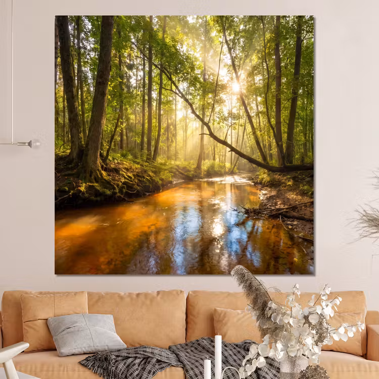 Forex - Bos - Beek - Zonlicht - Natuur - Groen — 4
