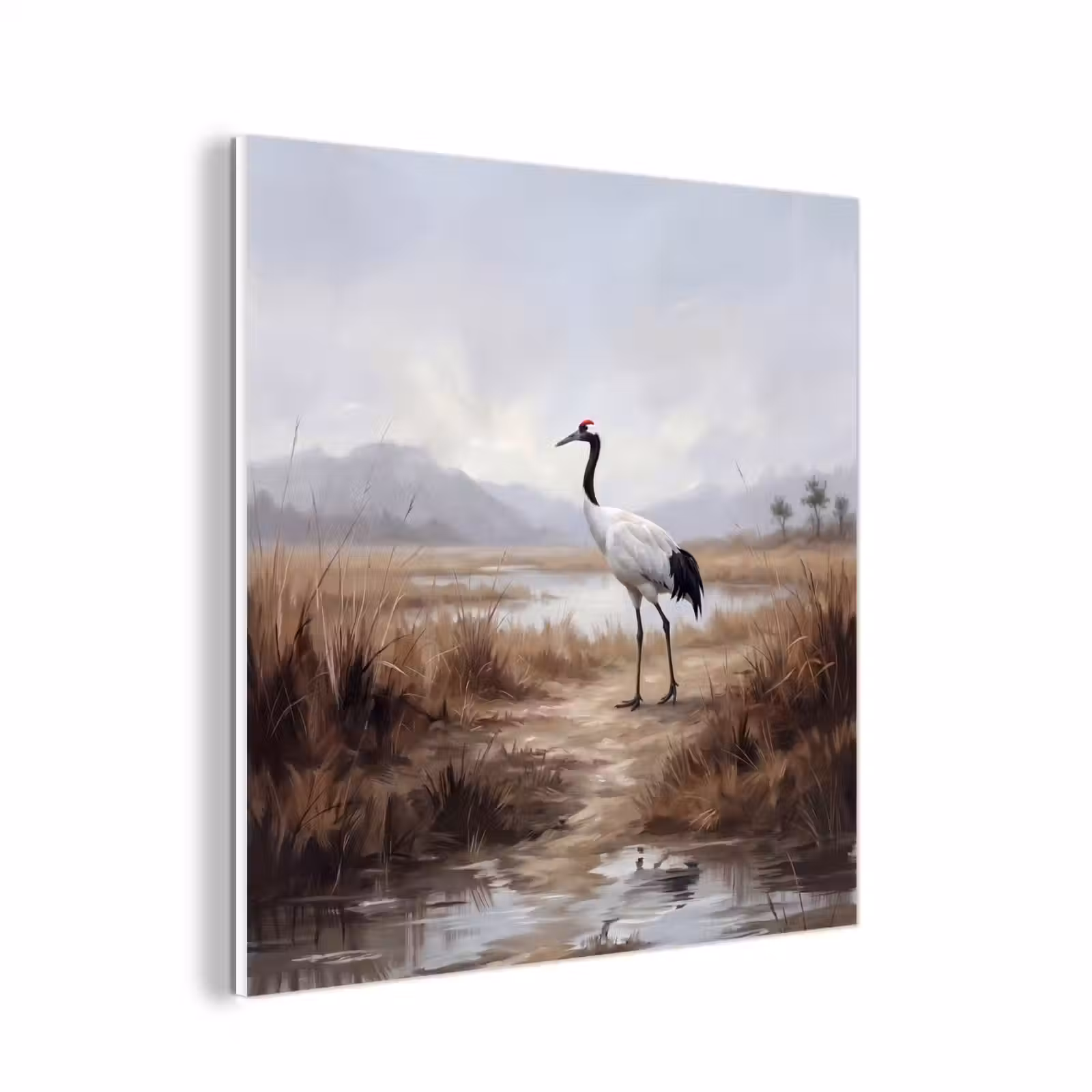 Forex - Kraanvogel - Natuur - Realistisch — 1