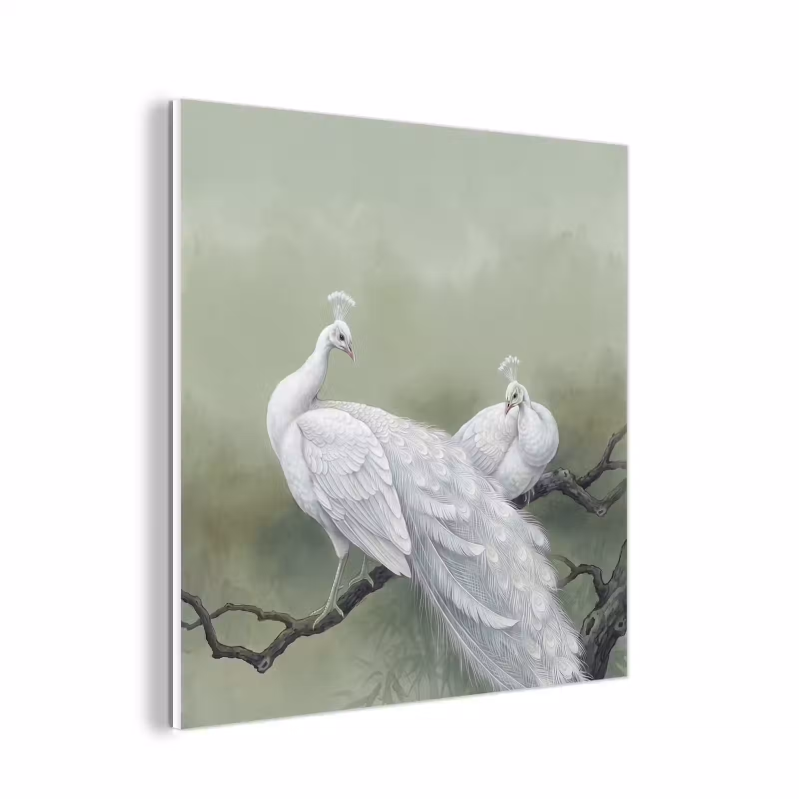 Forex - Pauwen - Wit - Natuur - Groen — 1