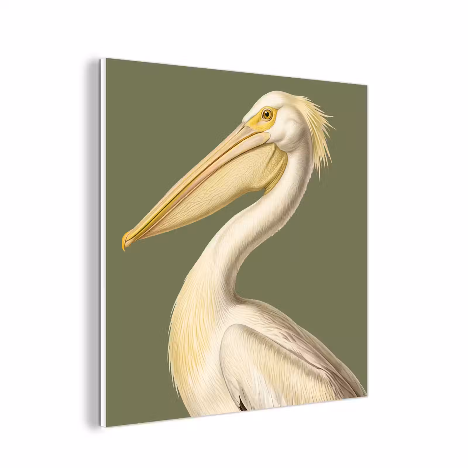 Forex - Pelikaan - Wit - Vogel - Klassiek - Natuur — 1