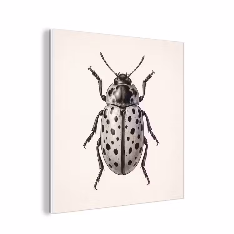 Forex - Kever - Insect - Vintage — 1