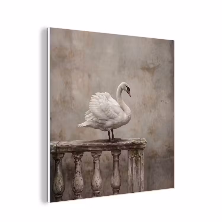 Forex - Zwaan - Elegant - Dieren - Wit — 1