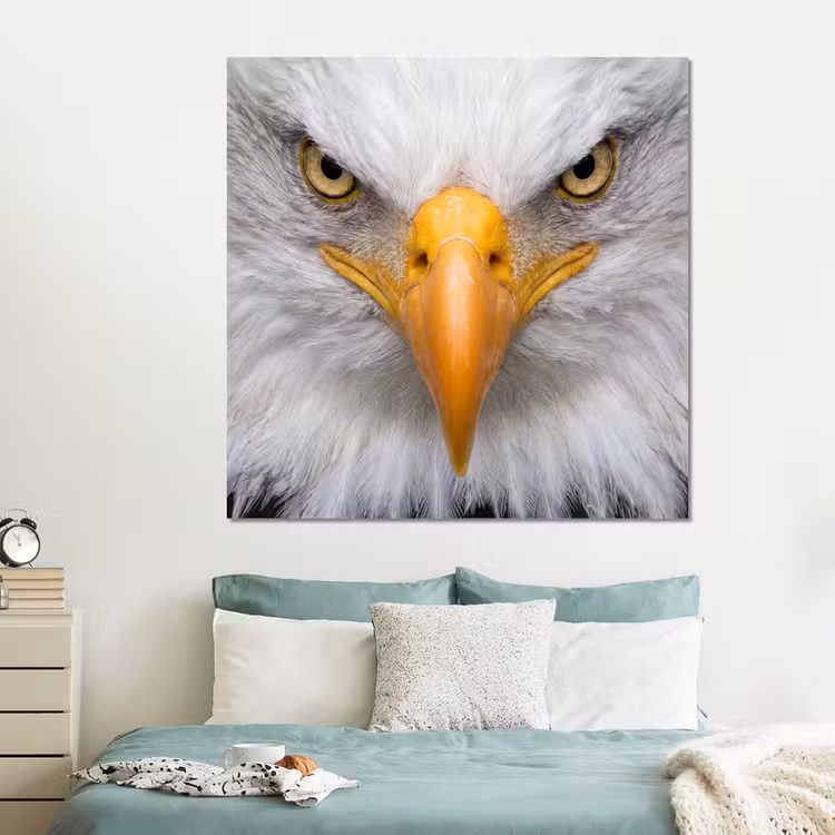 Forex - Amerikaans - Zeearend - Portret - Geel — 2
