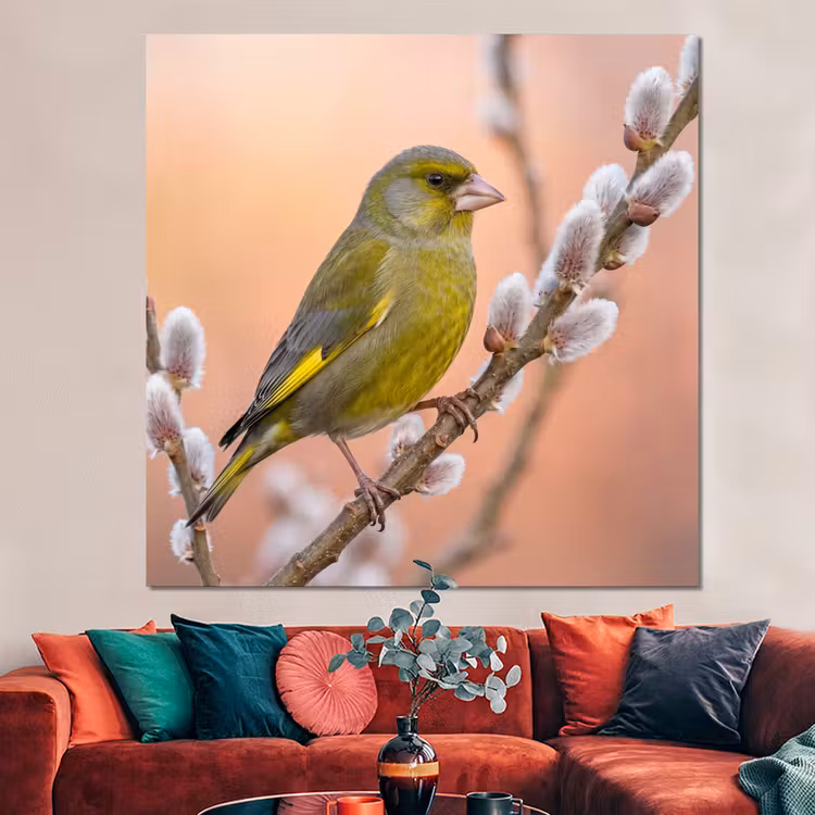 Forex - Groenling - Katjes - Lente - Natuur - Zacht — 3