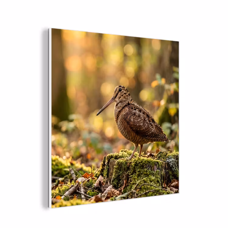 Forex - Houtsnip - Bos - Bladeren - Herfst - Gecamoufleerd — 1
