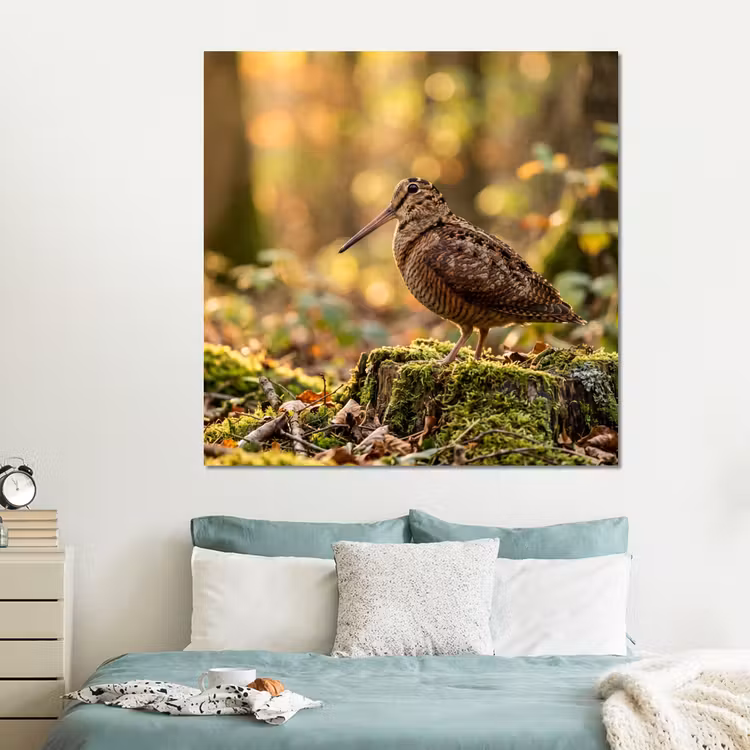 Forex - Houtsnip - Bos - Bladeren - Herfst - Gecamoufleerd — 2