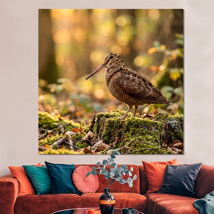 Forex - Houtsnip - Bos - Bladeren - Herfst - Gecamoufleerd — 3