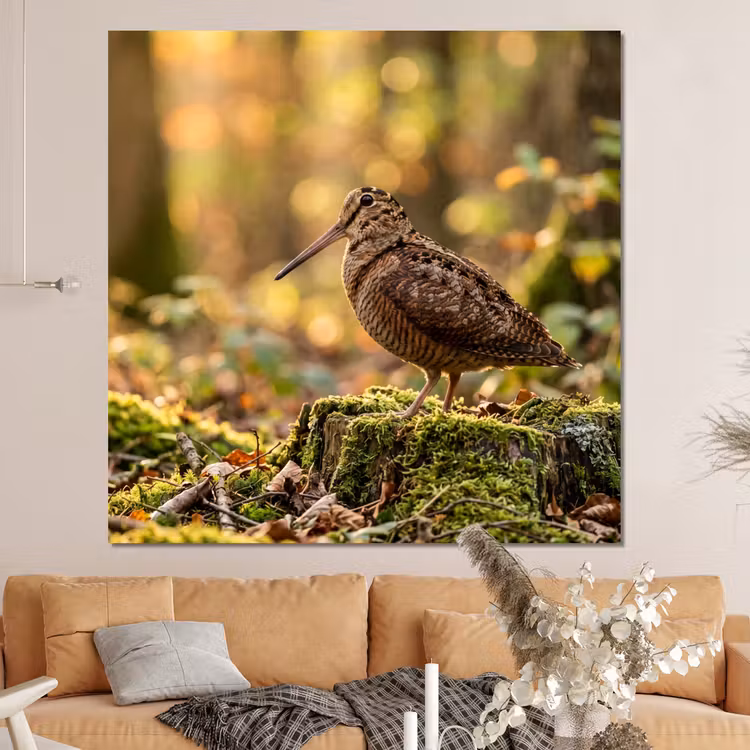 Forex - Houtsnip - Bos - Bladeren - Herfst - Gecamoufleerd — 4