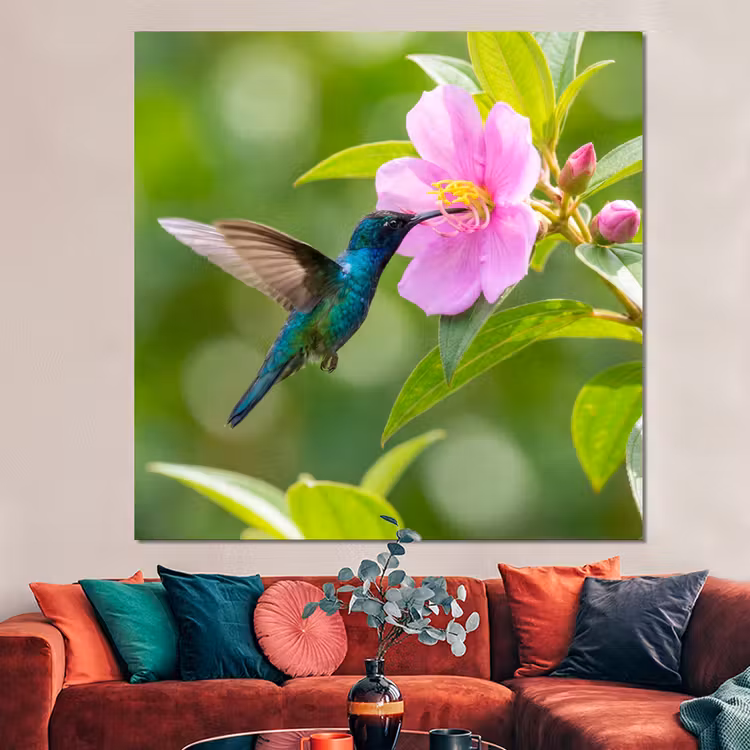Forex - Kolibrie - Bloem - Natuur - Groen — 3