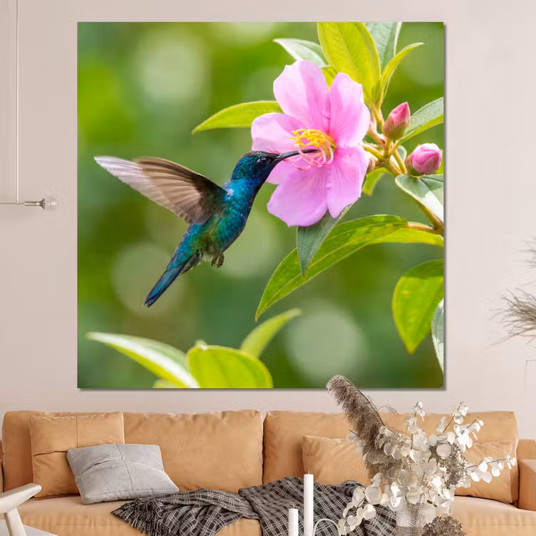 Forex - Kolibrie - Bloem - Natuur - Groen — 4