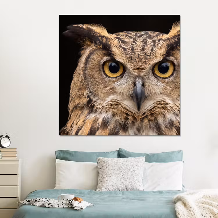 Forex - Oehoe - Uil - Portret - Bruin — 2