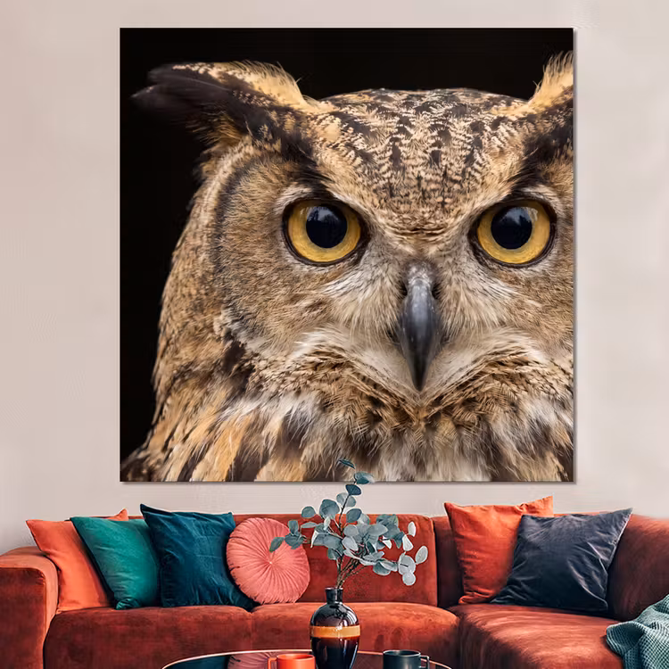Forex - Oehoe - Uil - Portret - Bruin — 3