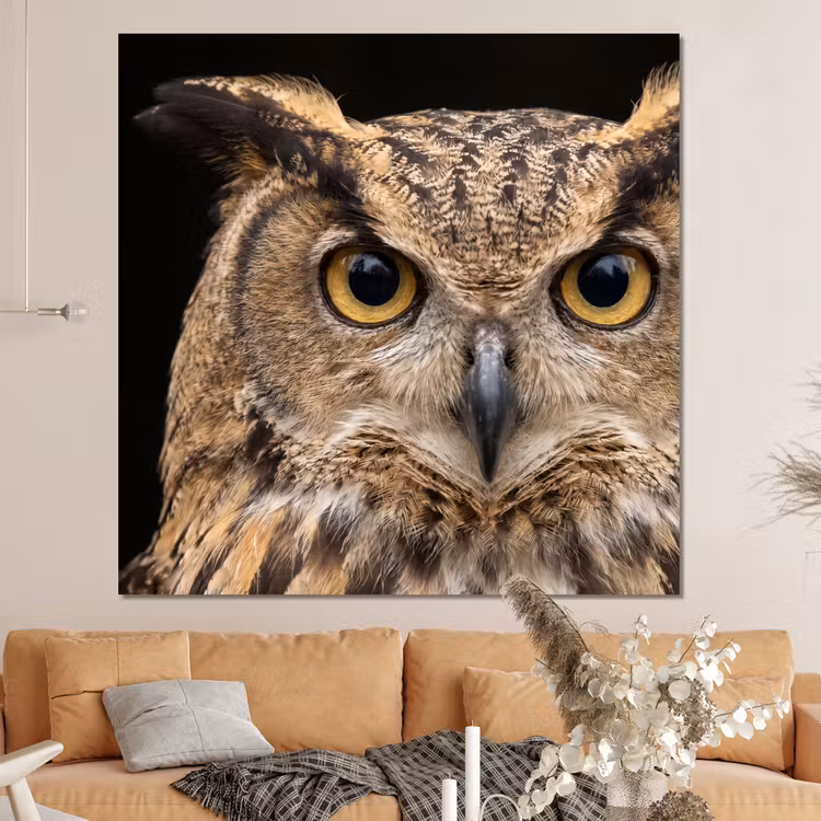 Forex - Oehoe - Uil - Portret - Bruin — 4